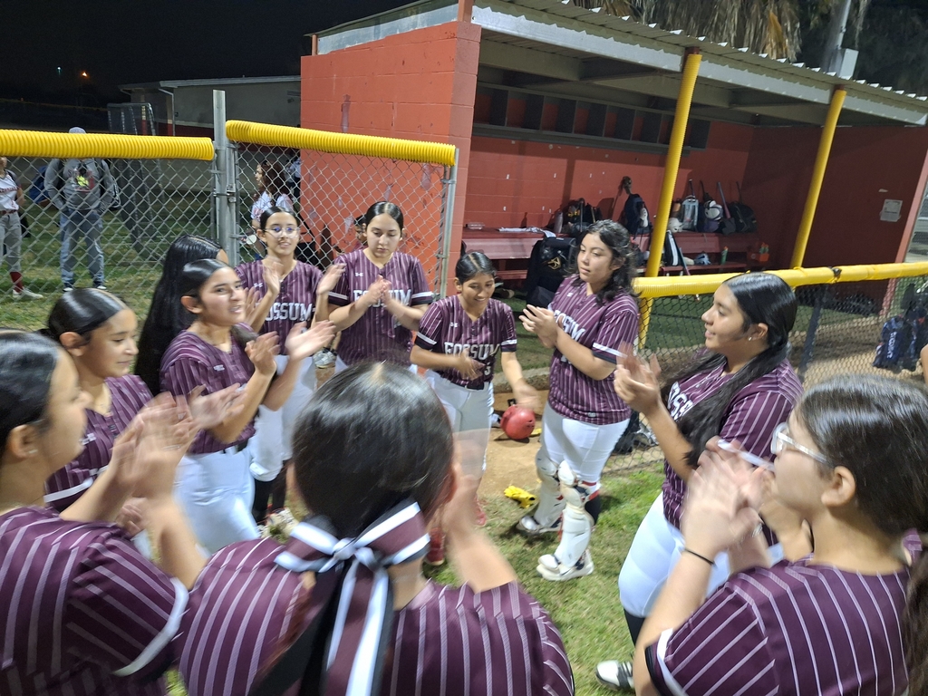 Lady Falcons softball players gathered in a team huddle near the dugout, clapping and cheering together in maroon uniforms after their game.