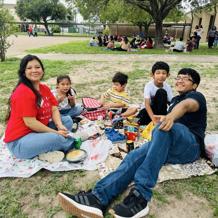 Family Picnic