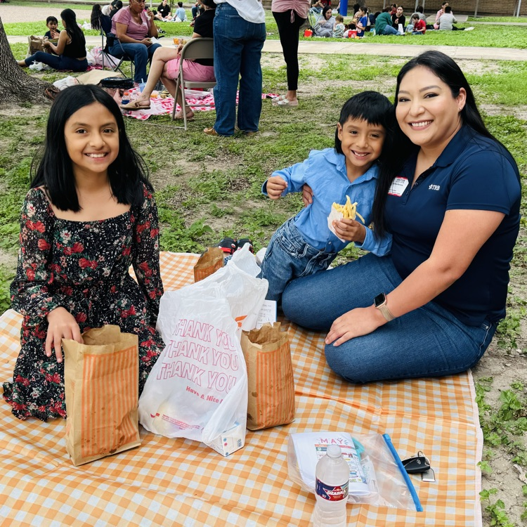 Family Picnic