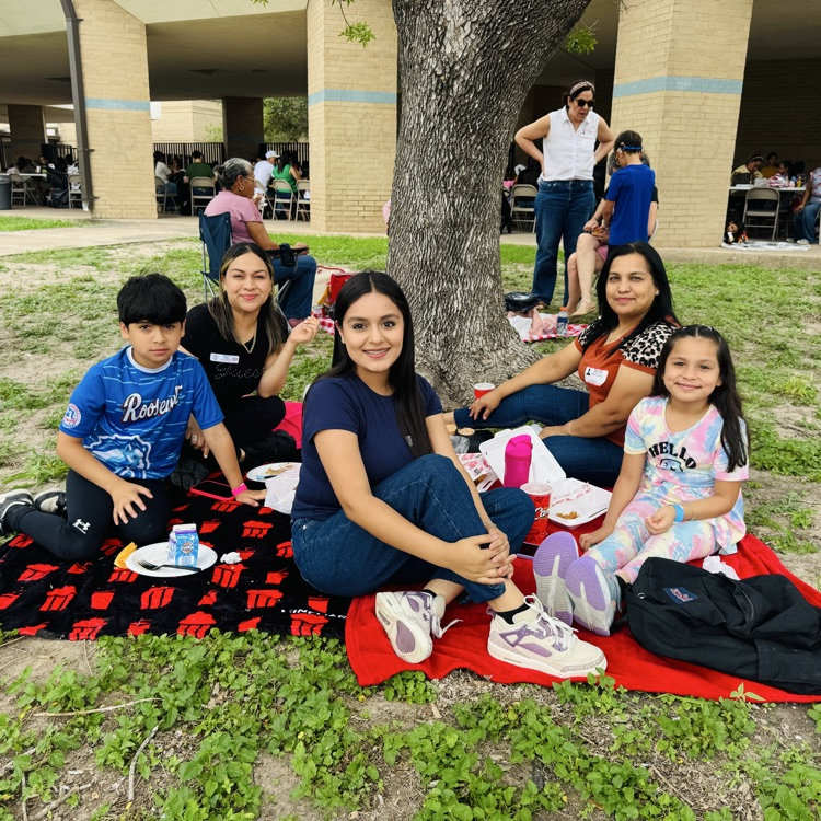Family Picnic