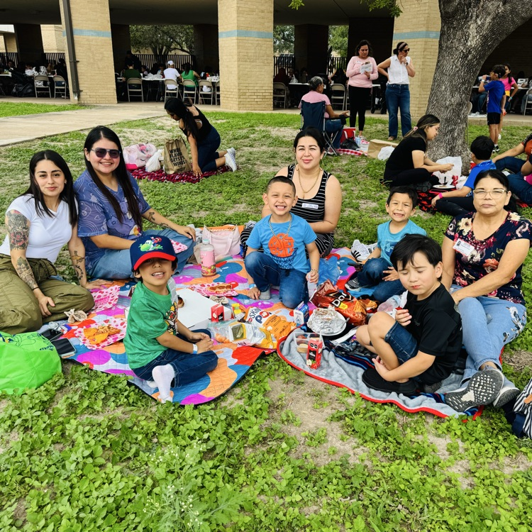 Family Picnic
