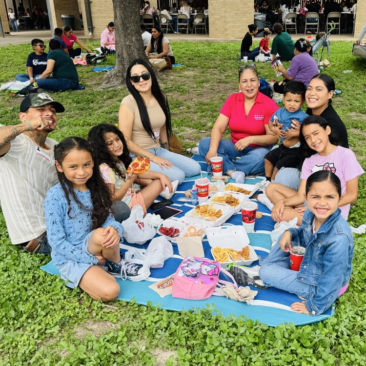 Family Picnic