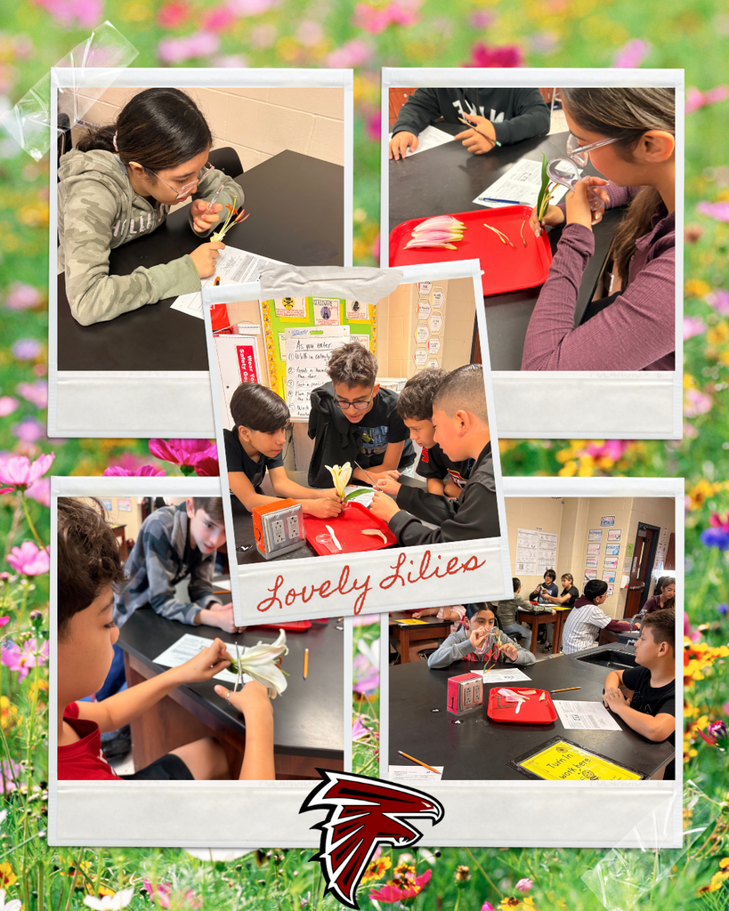 🌸🔬 Testing may be done but the learning NEVER stops at Fossum! We love seeing our students stay curious, engaged, and excited about science even after all the hard work they've put in this year! A huge thank you to Mrs. Rojas for putting together such an amazing and hands-on lily dissection for our Falcons! 🌺✂️