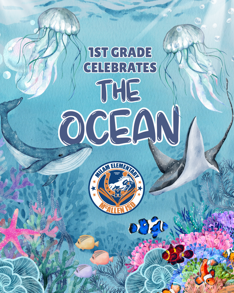 1st Grade Learns About the Ocean
