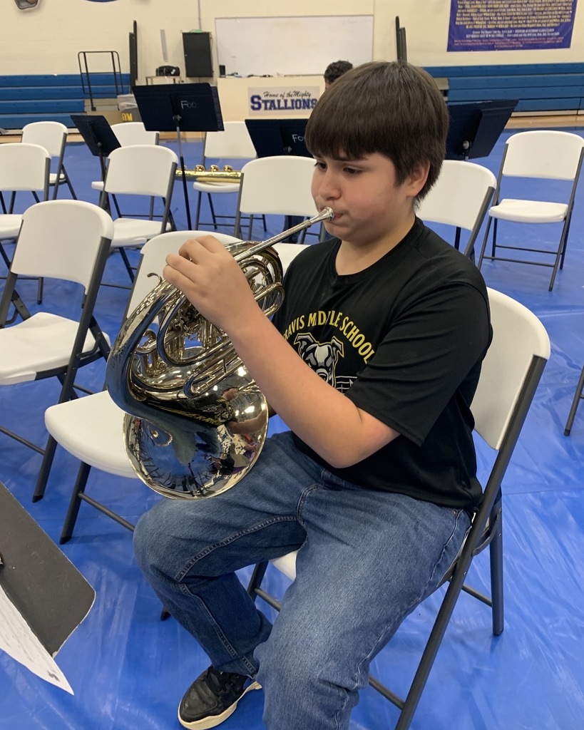 Band 