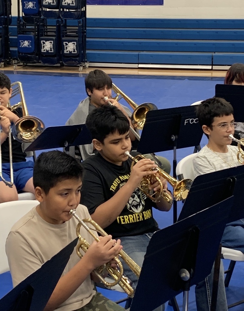 Band 