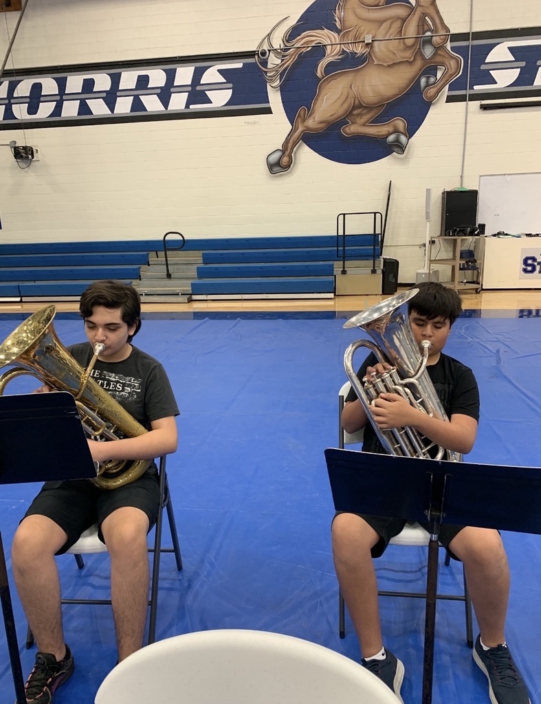 Band 