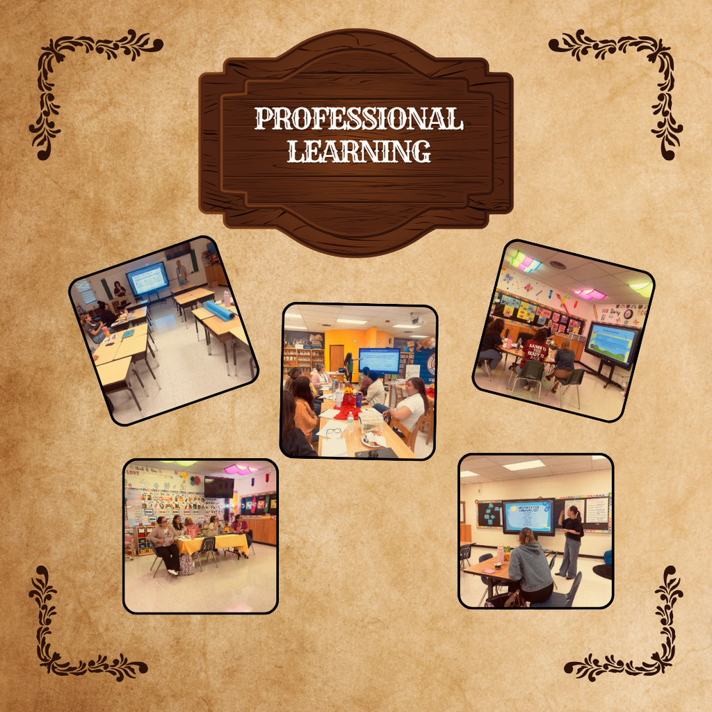 Professional learning Day