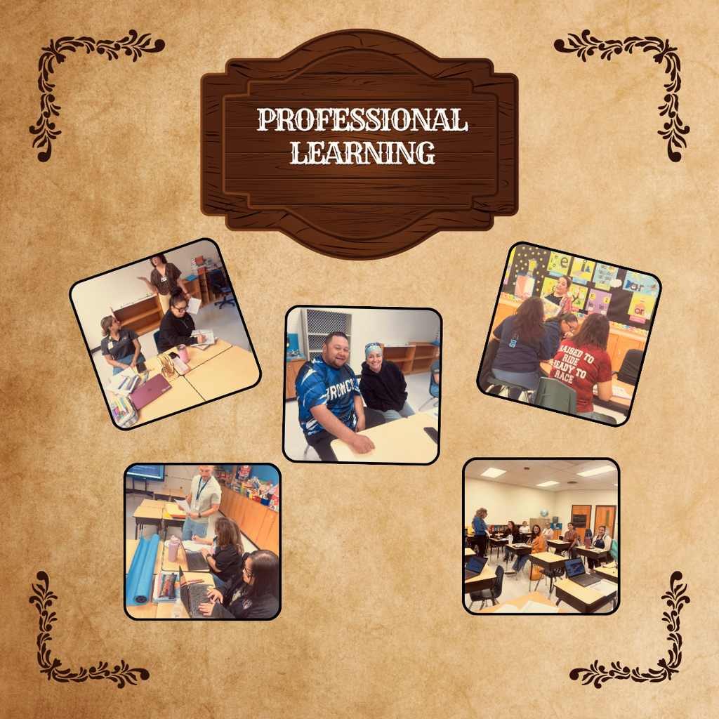 Professional learning Day