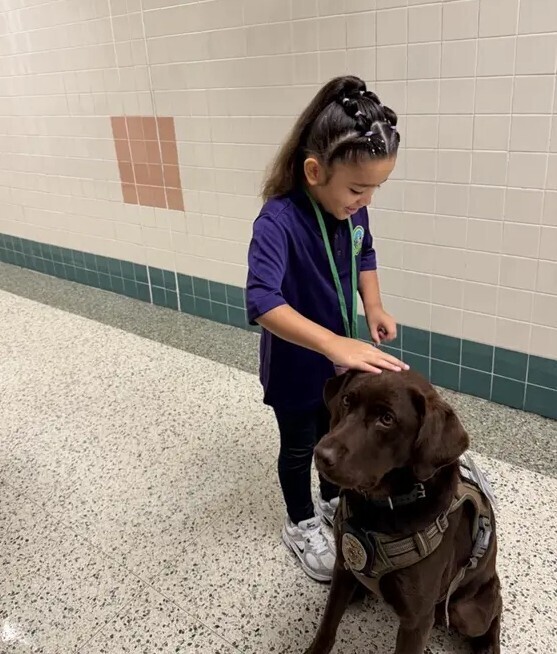 K9 Officer supporting student.