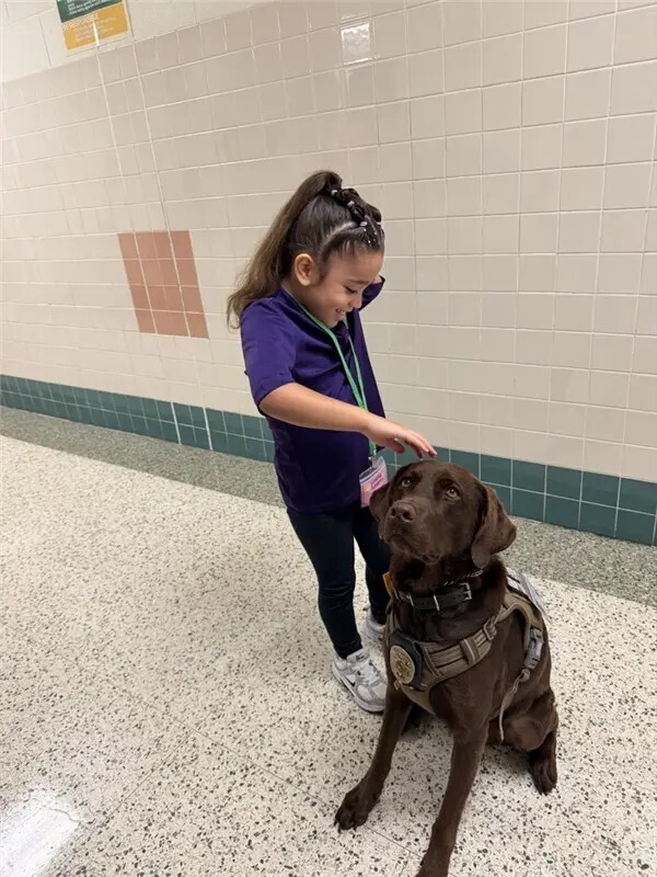 K9 Officer supporting student.