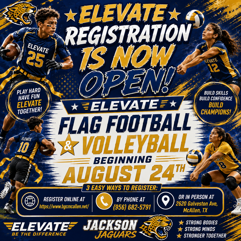 elevate flag and volleyball