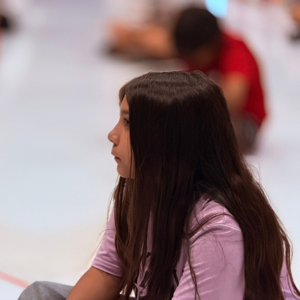 Preventing Bullying
