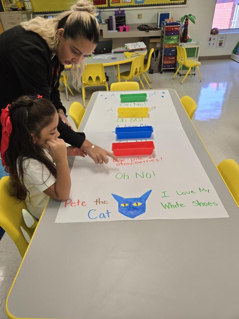 Student engaged in learning activity.