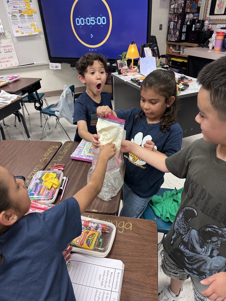 Student engaged in making ice cream activity.