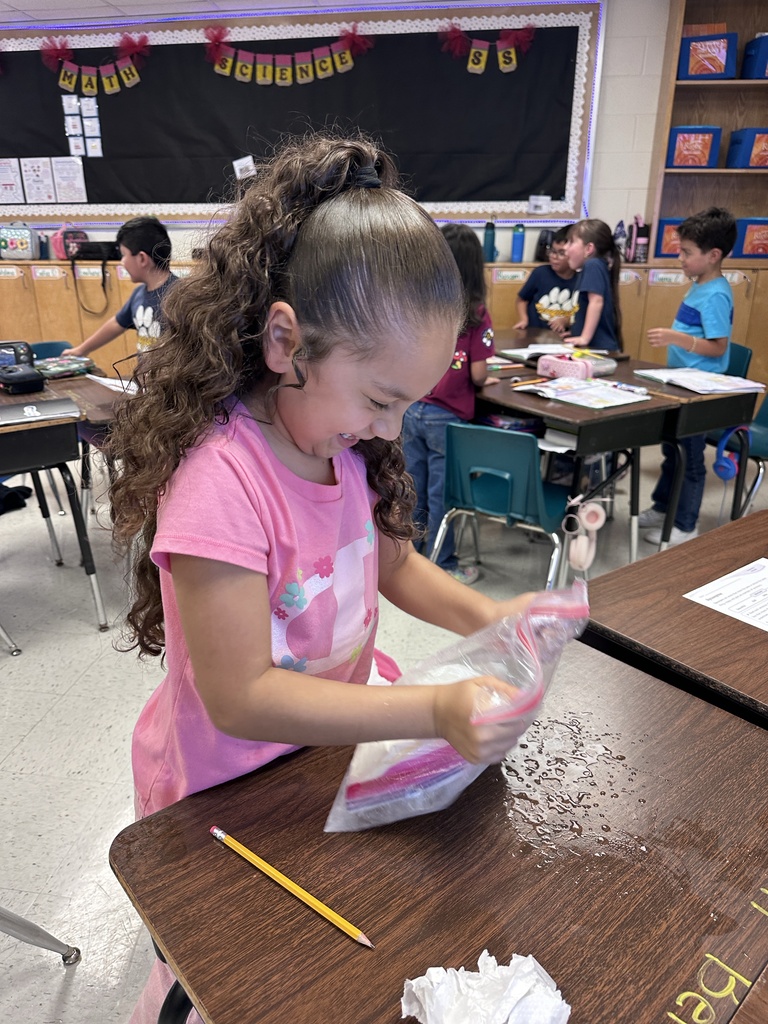 Student engaged in making ice cream activity.
