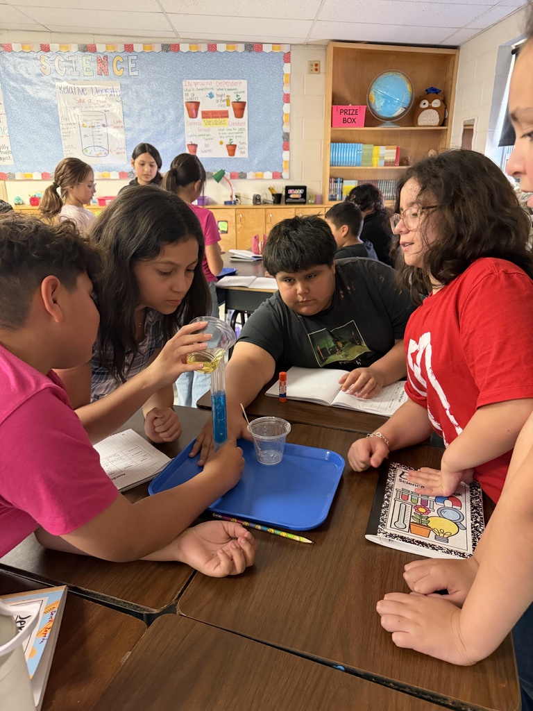 Students engaged in density lab.