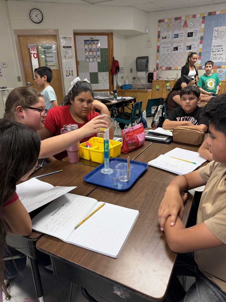 Students engaged in density lab.