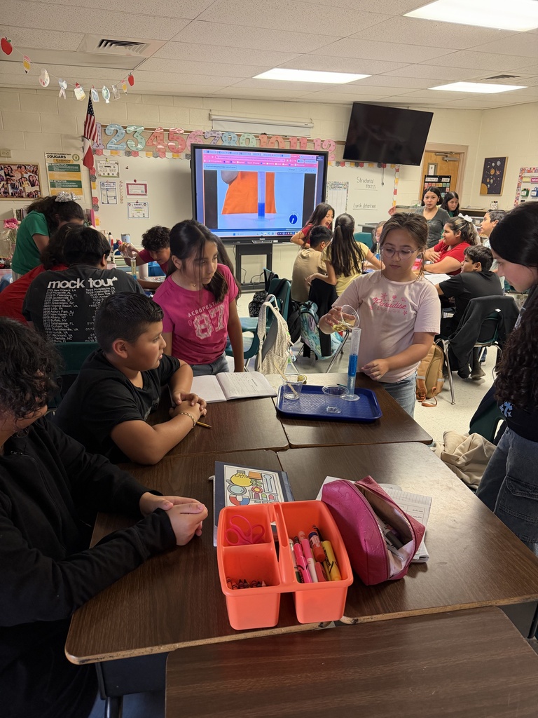 Students engaged in density lab.