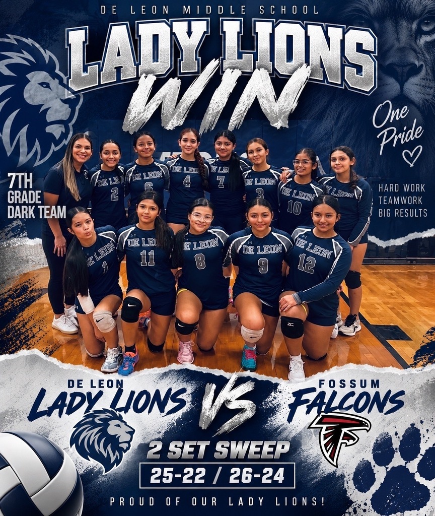 Volleyball Victory