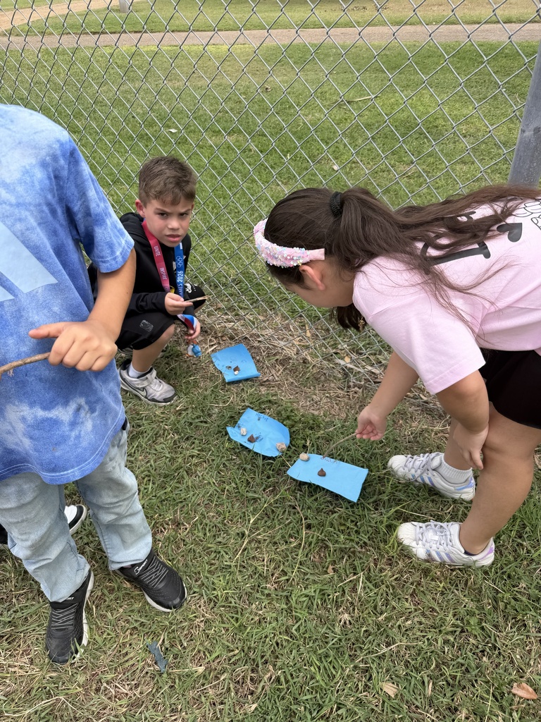 Students observing