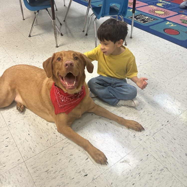 Buddy Visit