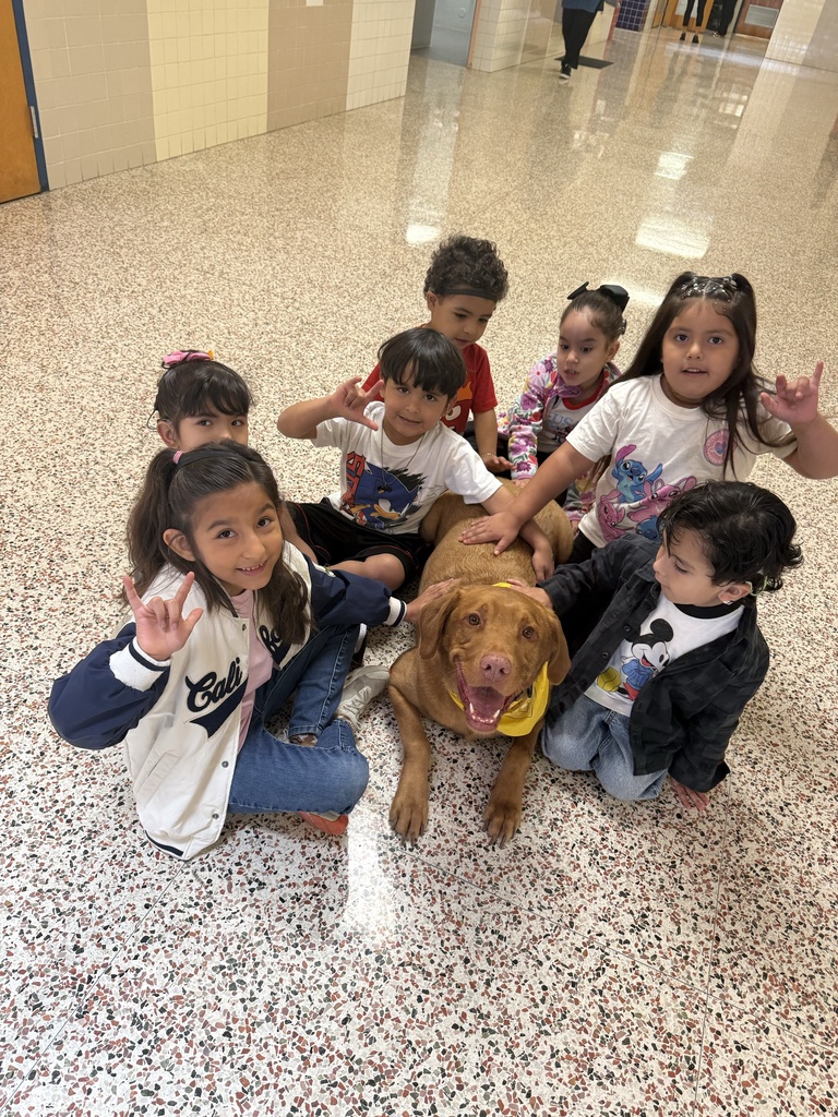 Buddy with EE students!