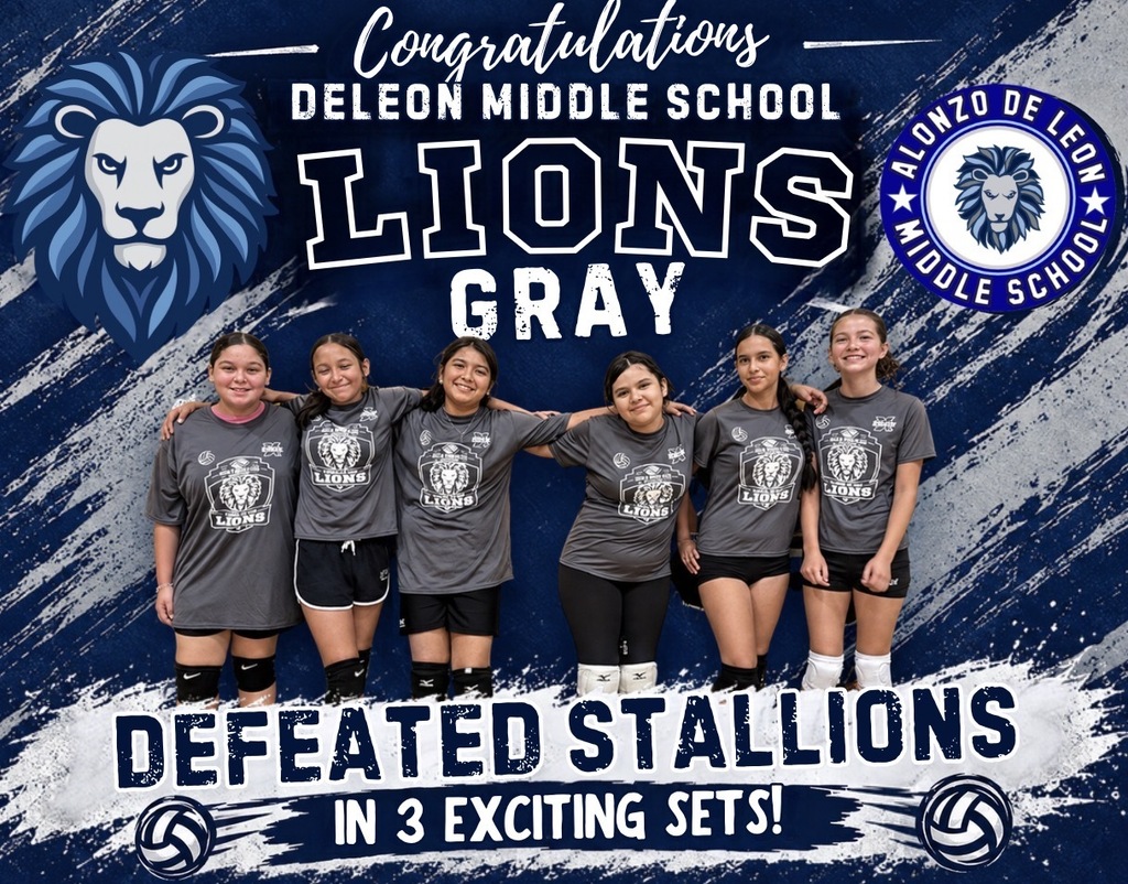 Elevate Volleyball Victory 