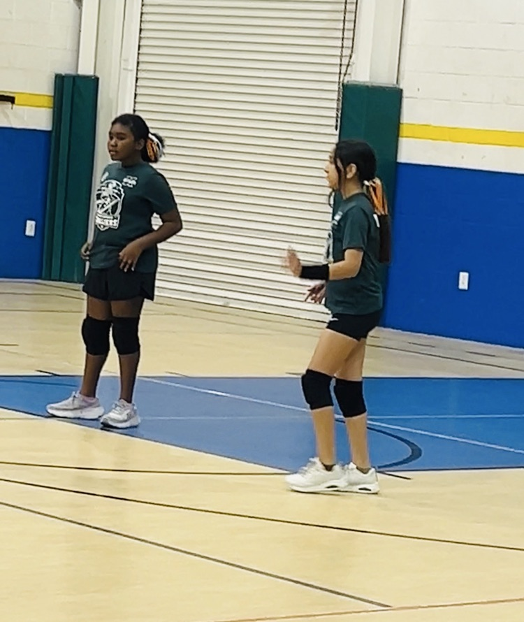 VB