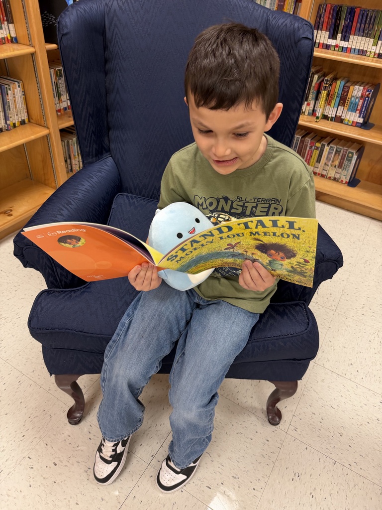 How to Read a Story