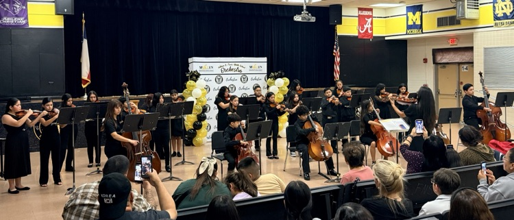 Orchestra