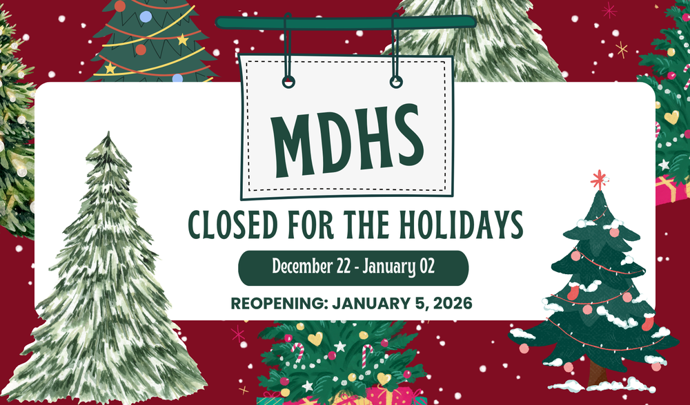 No School - Winter Break