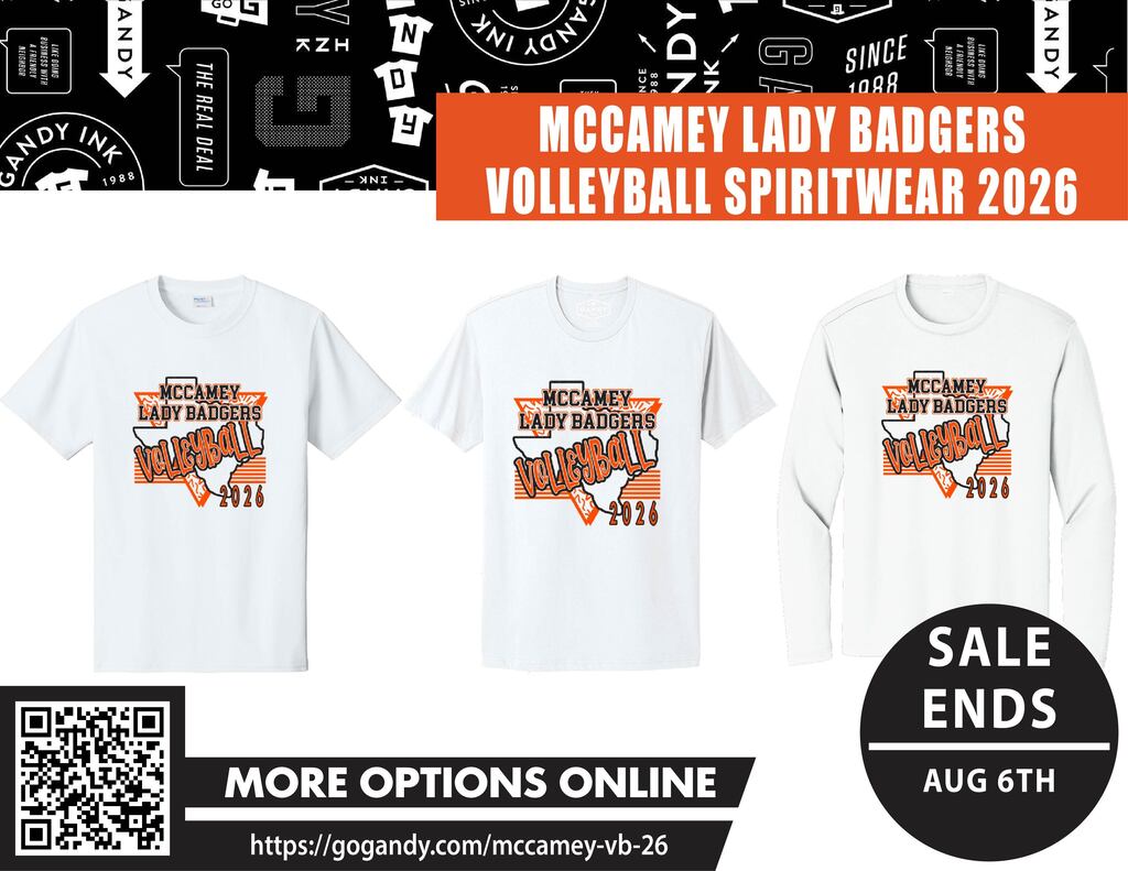 Lady Badgers Volleyball shirt