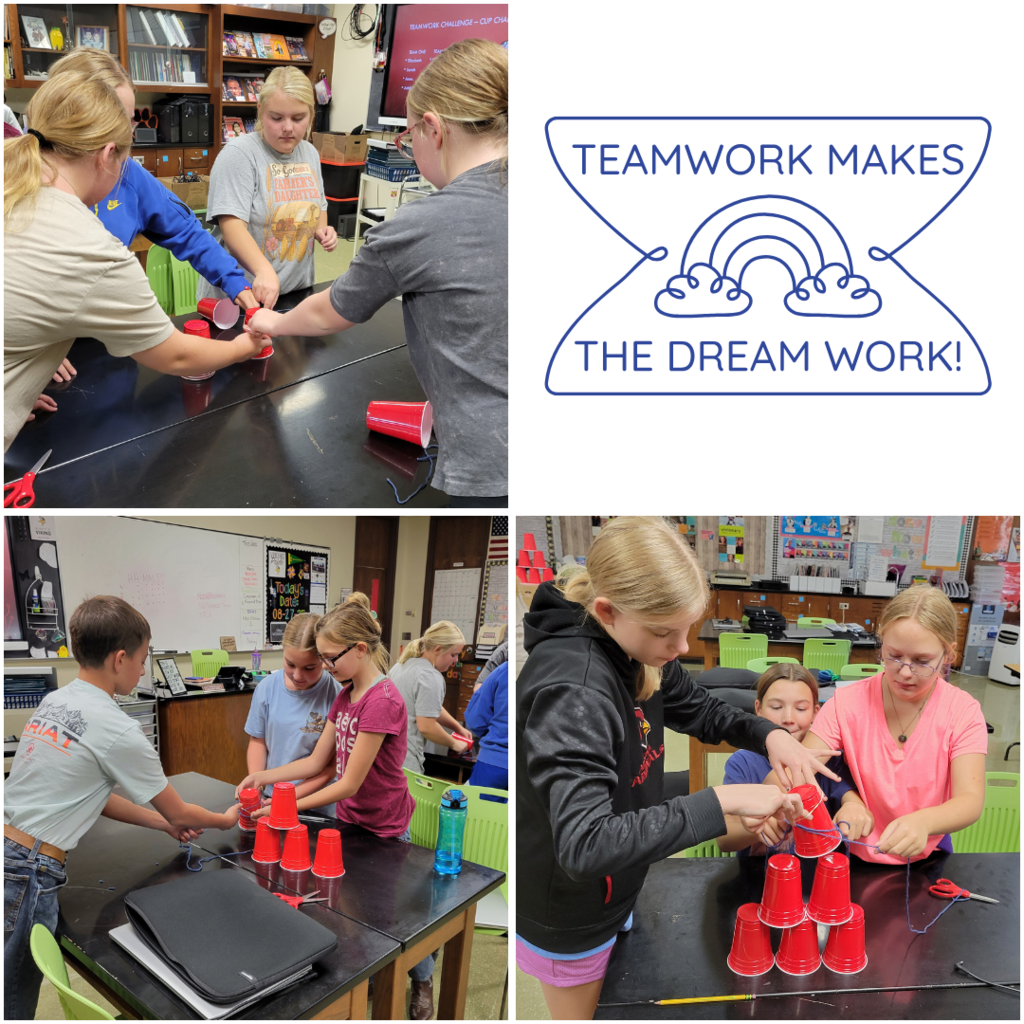 Junior high students displaying teamwork with building plastic cup pyramids without touching them with their hands