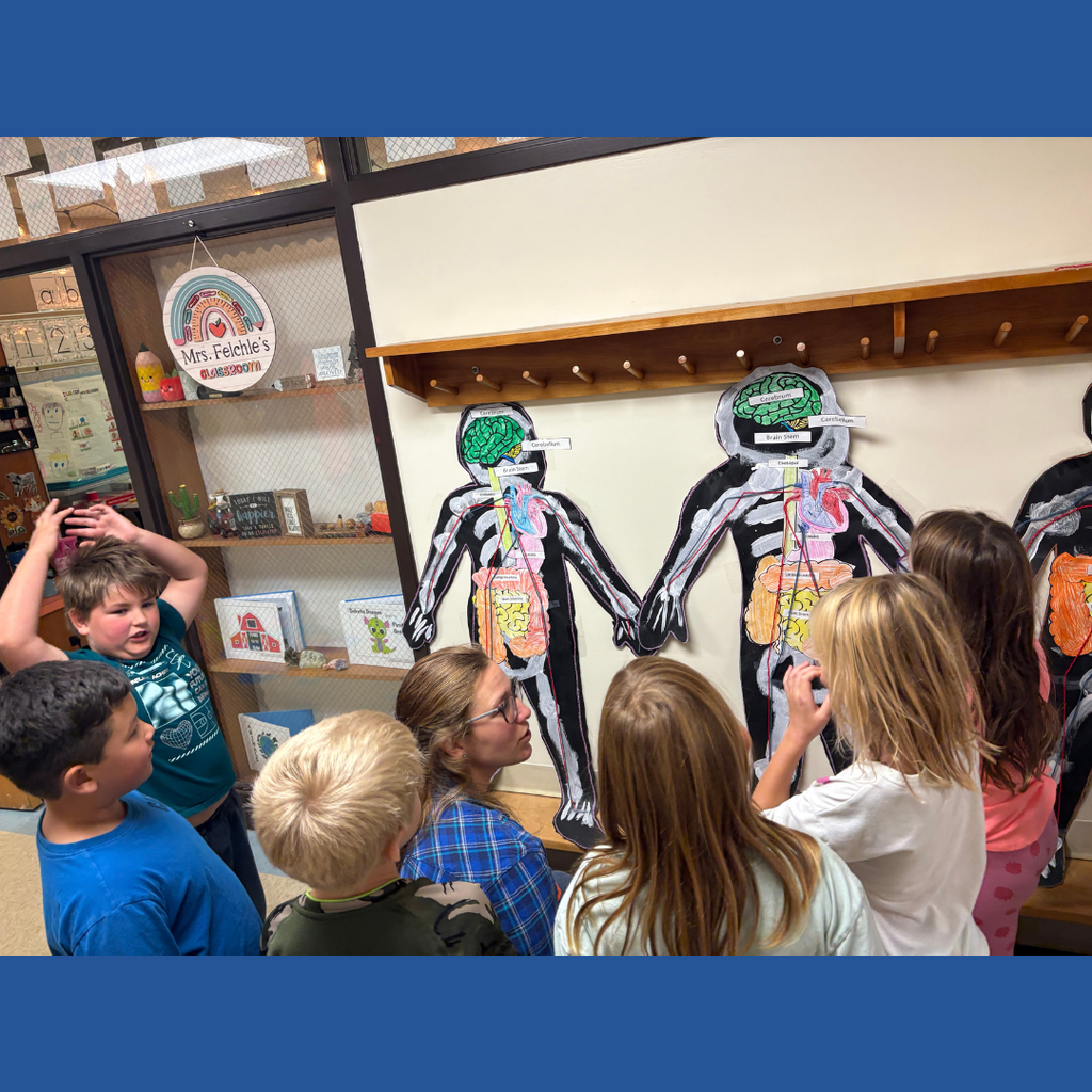 Lower elementary students learning about the body