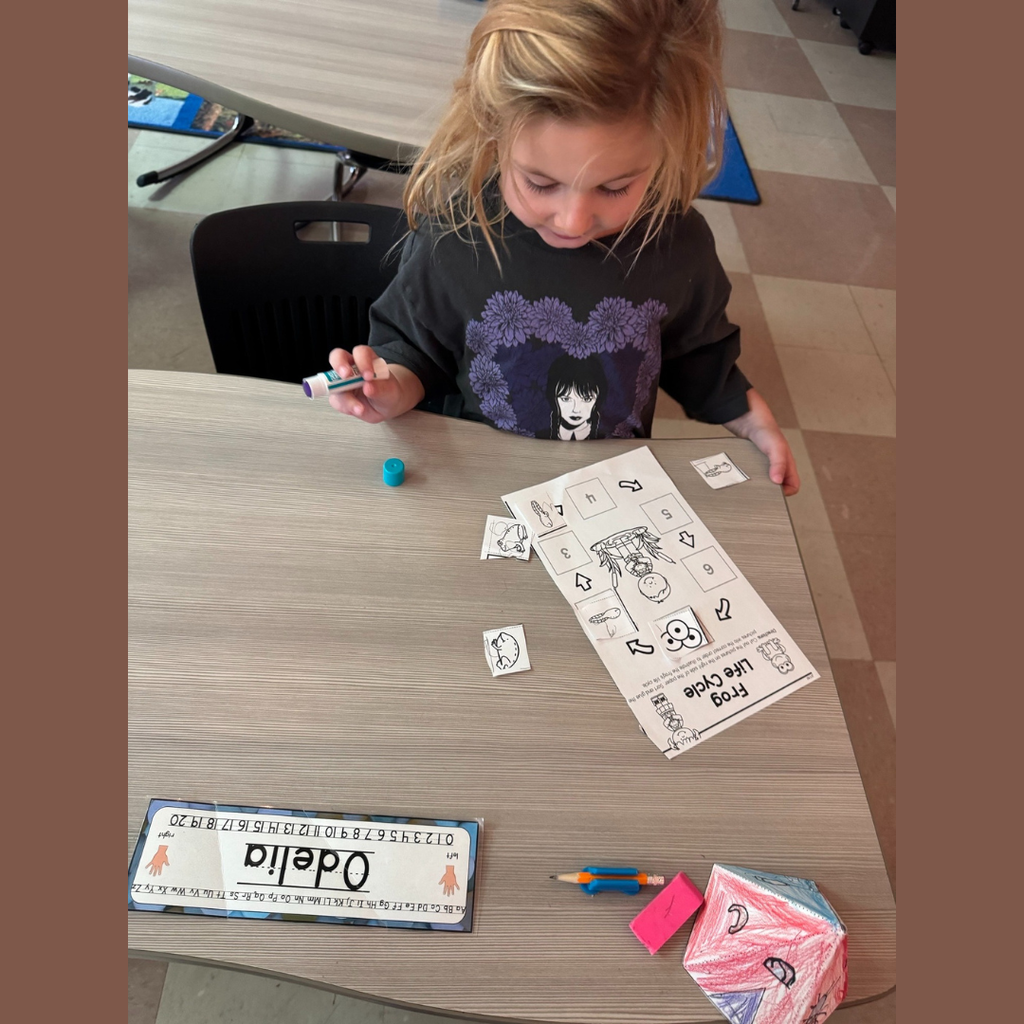 Kindergarten student placing life cycle of a frog stages on a piece of paper