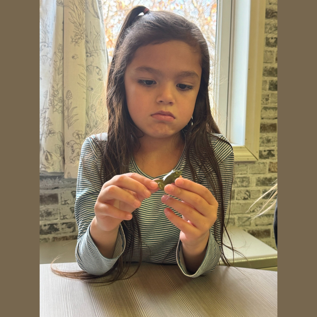 Kindergarten student looking at a plastic frog