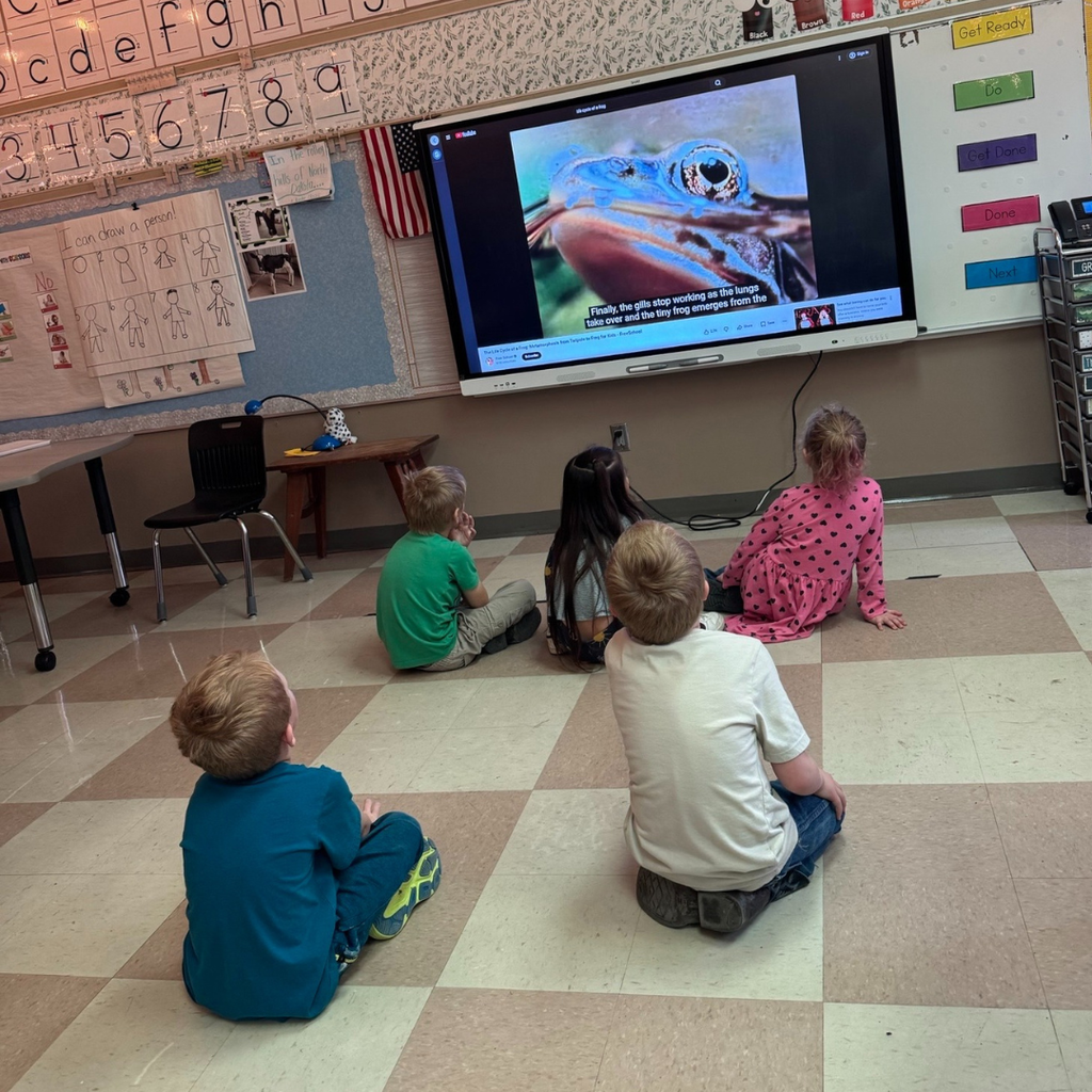 Kindergarten students watching a video on the life cycle of a frog