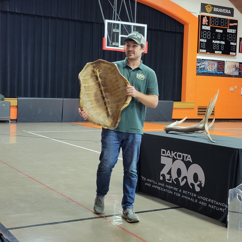 A man holding an empty sea turtle shell
