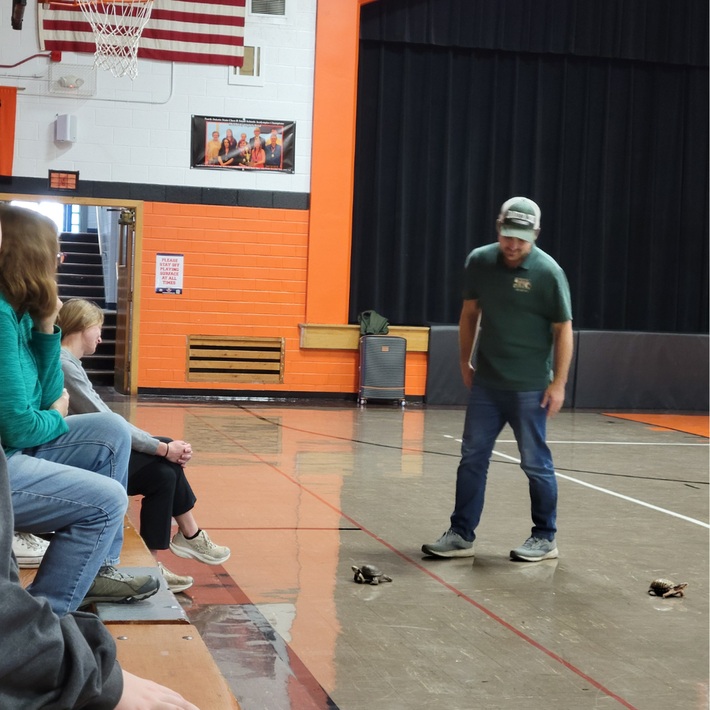 A man standing with two small box turtles.