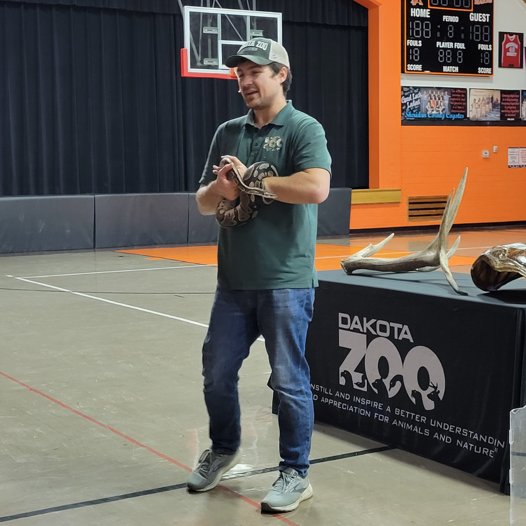 A man standing with a python wrapped around his arm