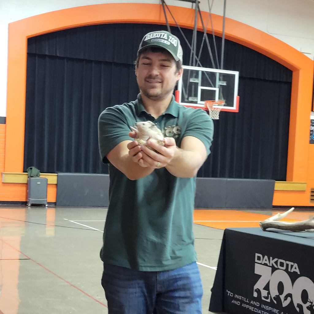 A man holding a hedgehog in his palms