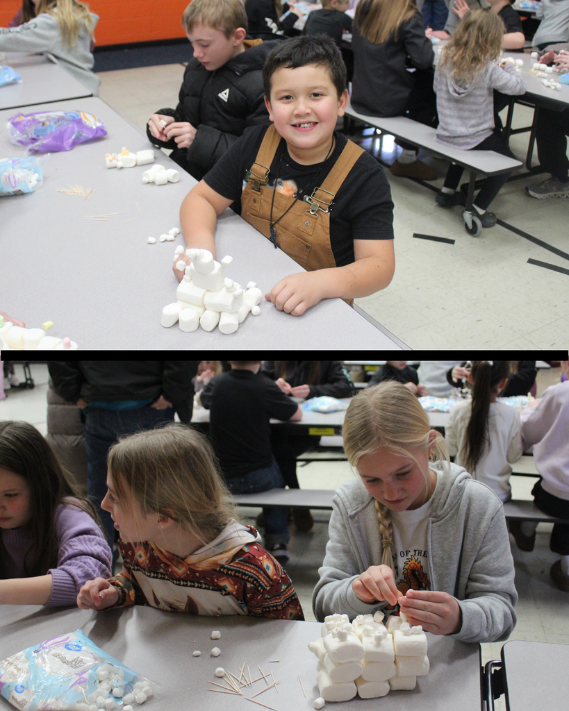 High school and elementary students building with marshmallows and toothpicks