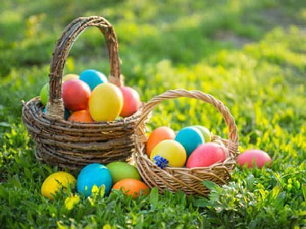Two Easter egg baskets in grass