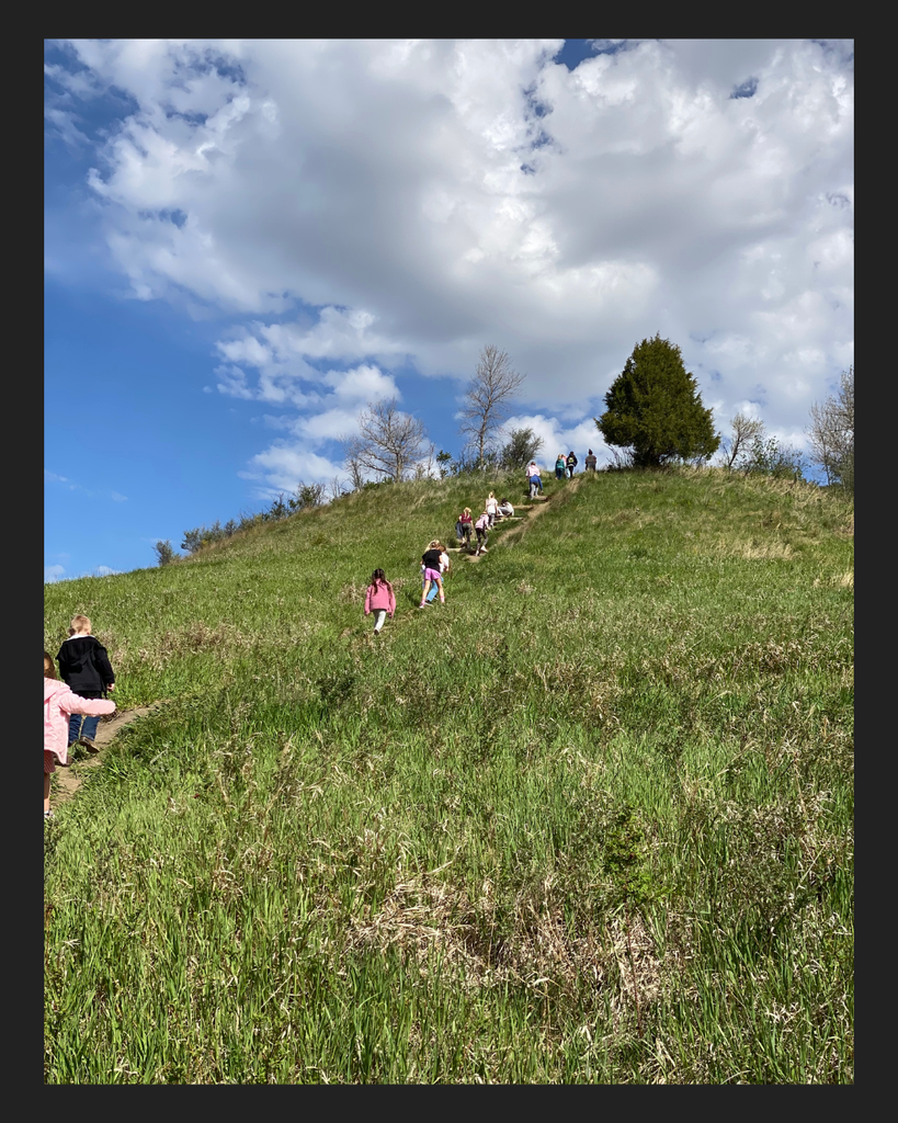 Students walking a trail on a grassy hill