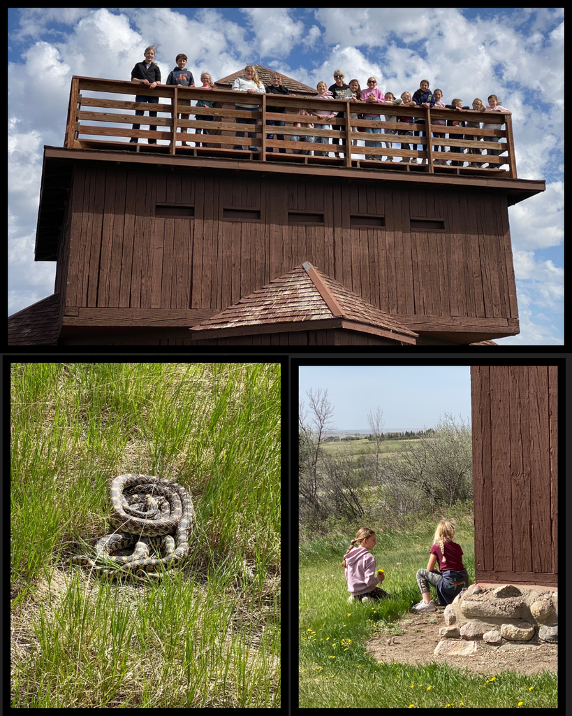 Students standing at the top of the Fort Abraham Lincoln State Park blockhouses, a photo of a snake, a photo of two elementary girls sitting in the grass