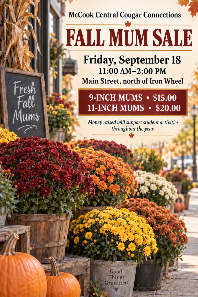 Fall Mum Sale