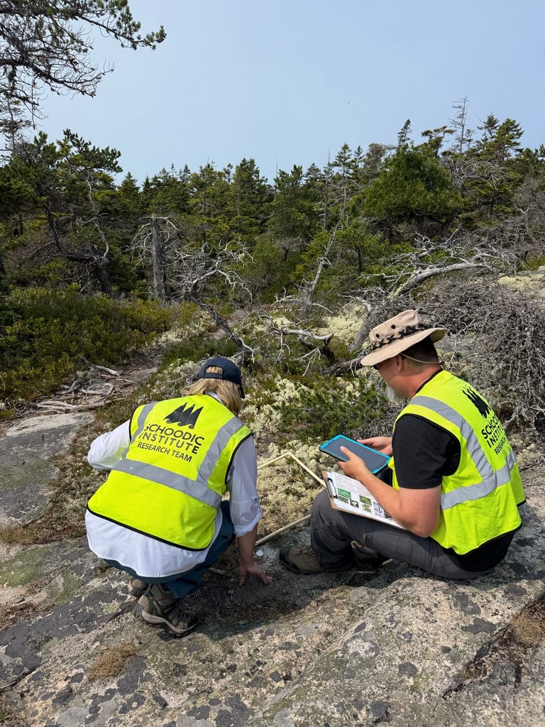 Mr. Degnan on Earthwatch expedition.