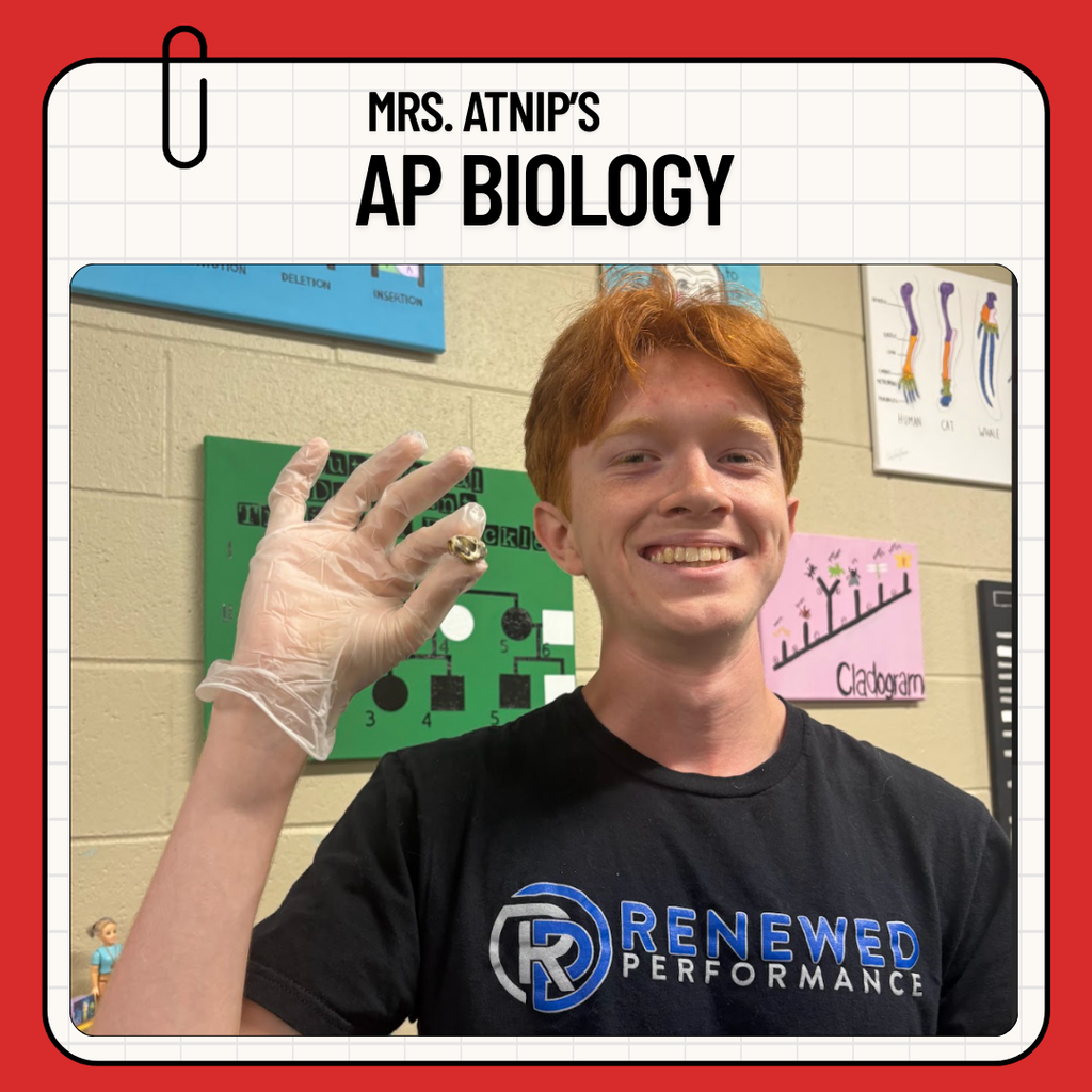 AP 3