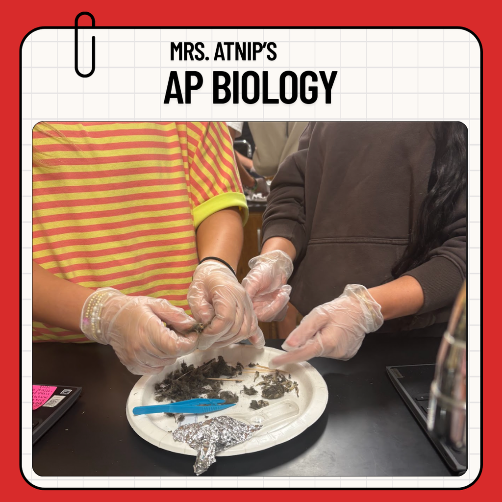 AP 2